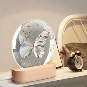 Acrylic Round Lamp Night, Light Home Decor / Butterfly